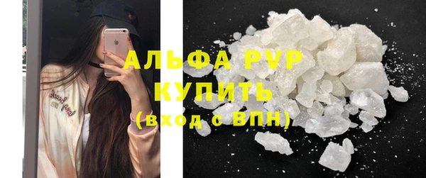 сатива Богданович