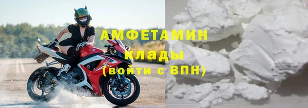 сатива Богданович