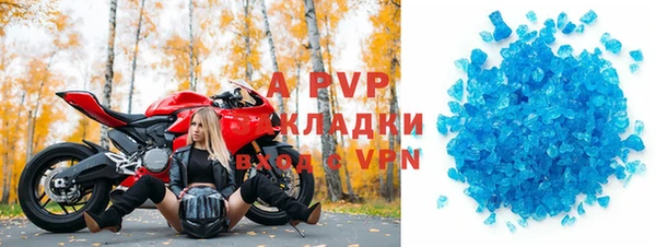 сатива Богданович