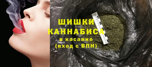 сатива Богданович