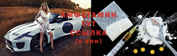 сатива Богданович